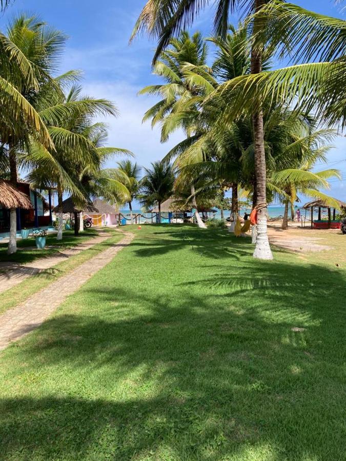 Bela Vista, Lagoa Do Pau, Coruripe, Alagoas